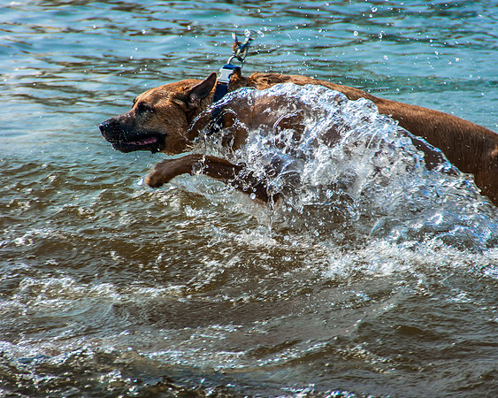 Roxy swimming-8010