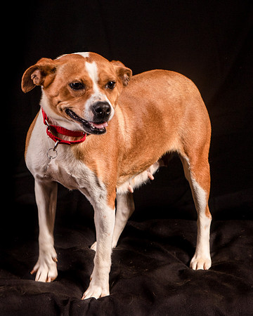 Foster Posey-1079