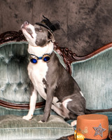 Foster Juliana-8054