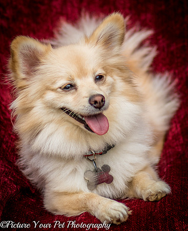 Foster Shirley-6134