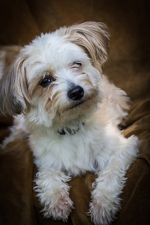 Foster Ricardo-8782