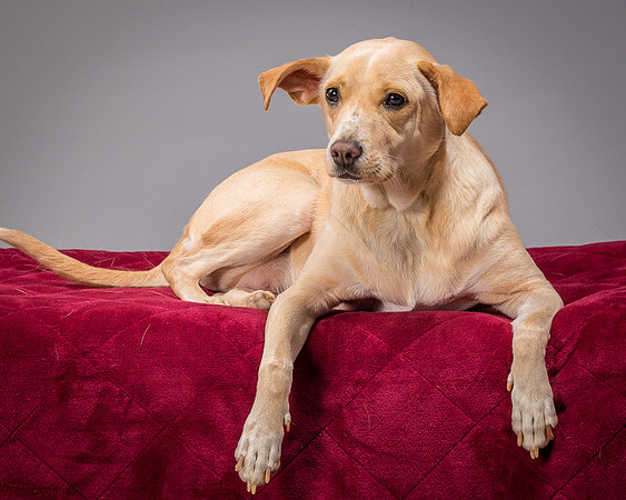 Foster June-3503