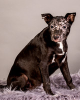 Foster Kendal-8754