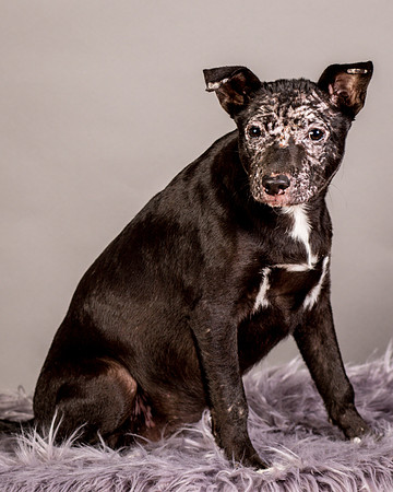 Foster Kendal-8754
