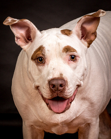 Foster Joanie-0612