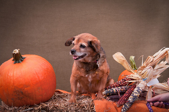 Foster Keela-7105