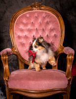 Foster Gabe-4379