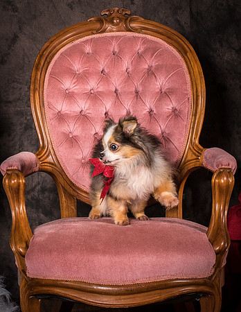 Foster Gabe-4379