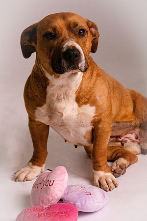 Foster-07-MW-2994