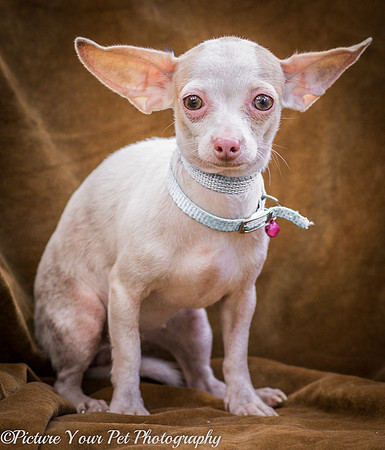 Foster Marion-3843