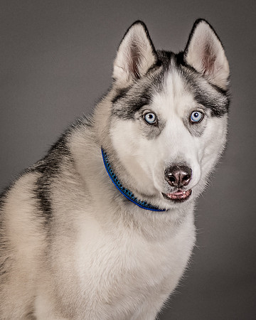 Foster Aspen-7591