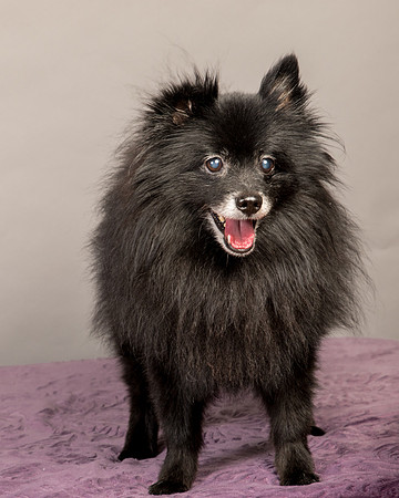 Foster Wayne-8267