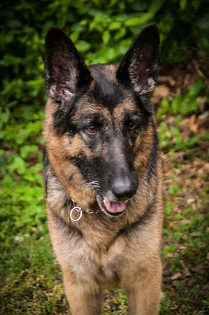 Gretchen-5884