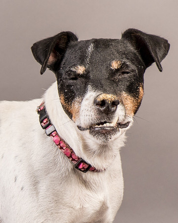 Foster Pollyanna-4006