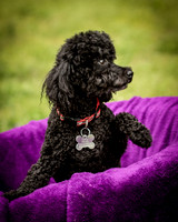 Foster Mindy-7352