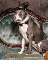 Foster Juliana-8057