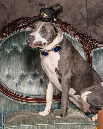 Foster Juliana-8057