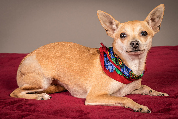 Foster Rosanna-3793
