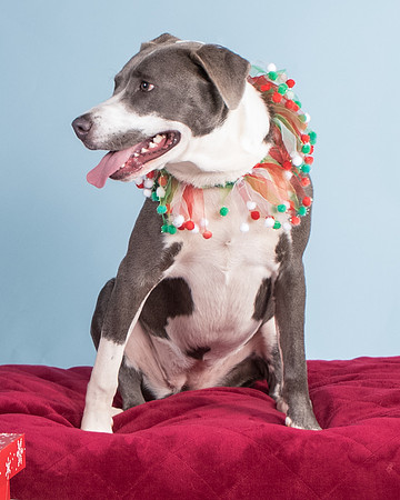 Foster Juliana-8078
