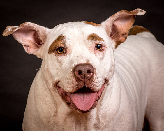 Foster Joanie-0609