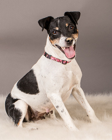 Foster Pollyanna-3907