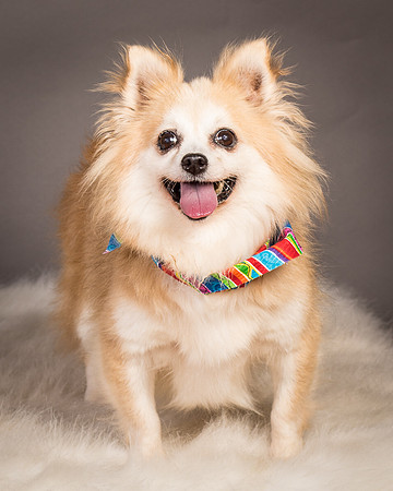 Foster Lilly-3399