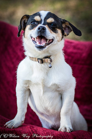 Foster Jethro-3
