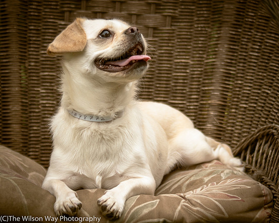 Foster Bonnie-2992