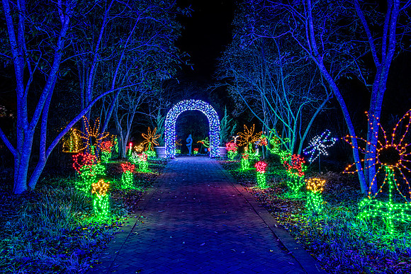 Christmas-2867