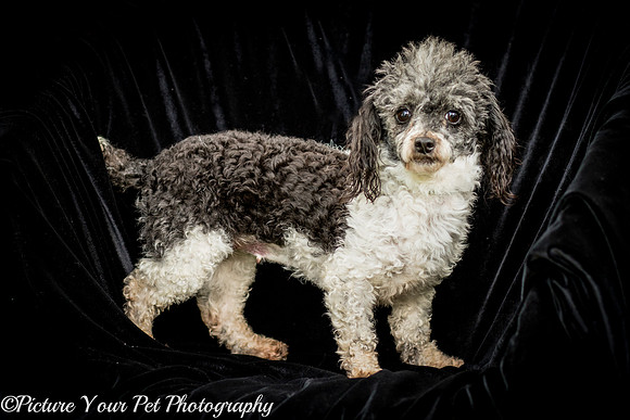 Foster Punky Brewster-3171