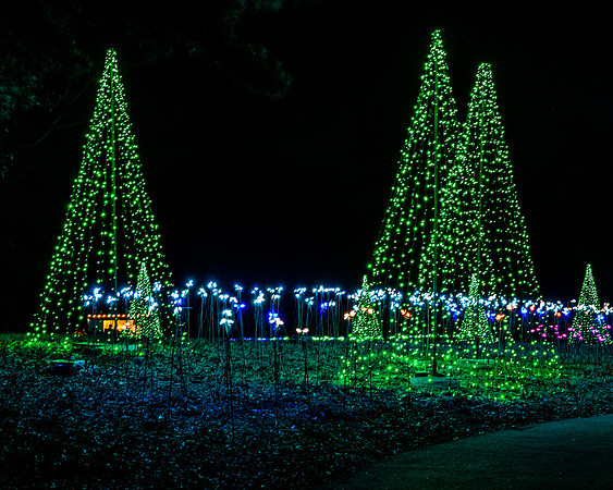 Christmas-2801