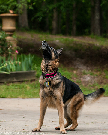 Gretchen-6546
