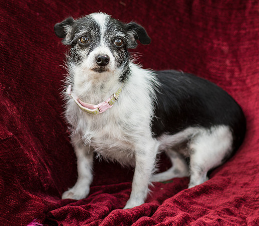 Foster Olive-7701