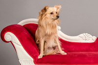 Foster Kree-4864