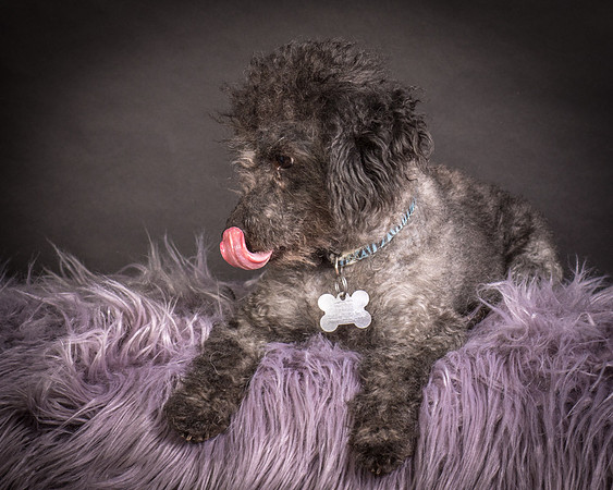 Foster Mokey-1319
