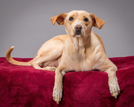 Foster June-3484