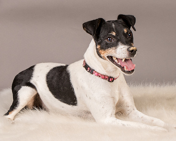 Foster Pollyanna-3889