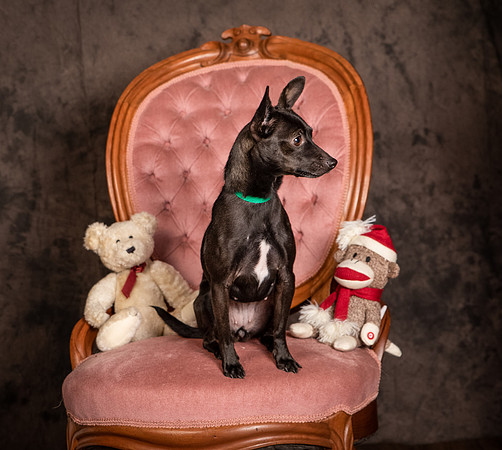 Foster Elvira-0184