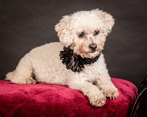 Foster Mae-9048