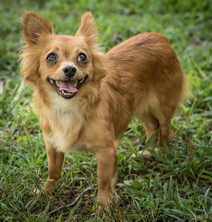 Foster Dolly-7774