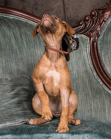 Foster Bronwyn-8317
