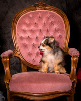 Foster Gabe-4387