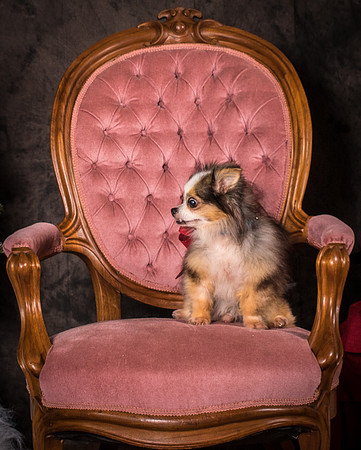 Foster Gabe-4387