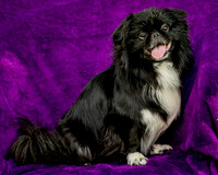 Foster Prince-0759