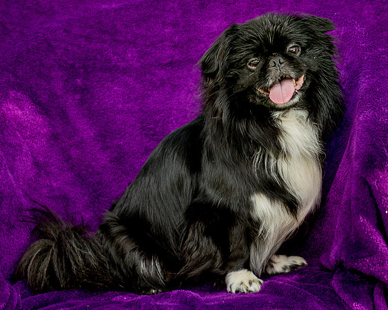 Foster Prince-0759