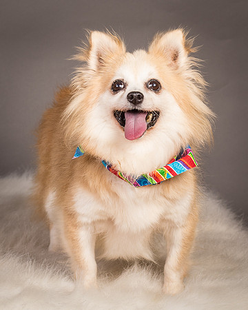 Foster Lilly-3396