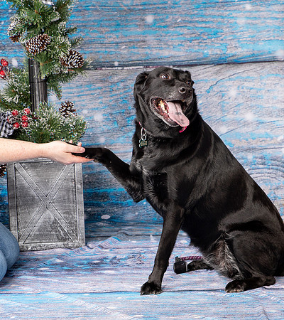 Foster Beatrice-4045