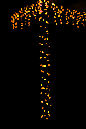 Bokeh_51