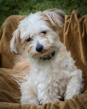 Foster Ricardo-8706