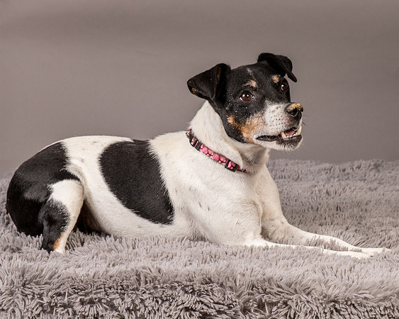 Foster Pollyanna-4025